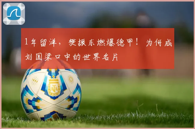 1年留洋，樊振东燃爆德甲！为何成刘国梁口中的世界名片